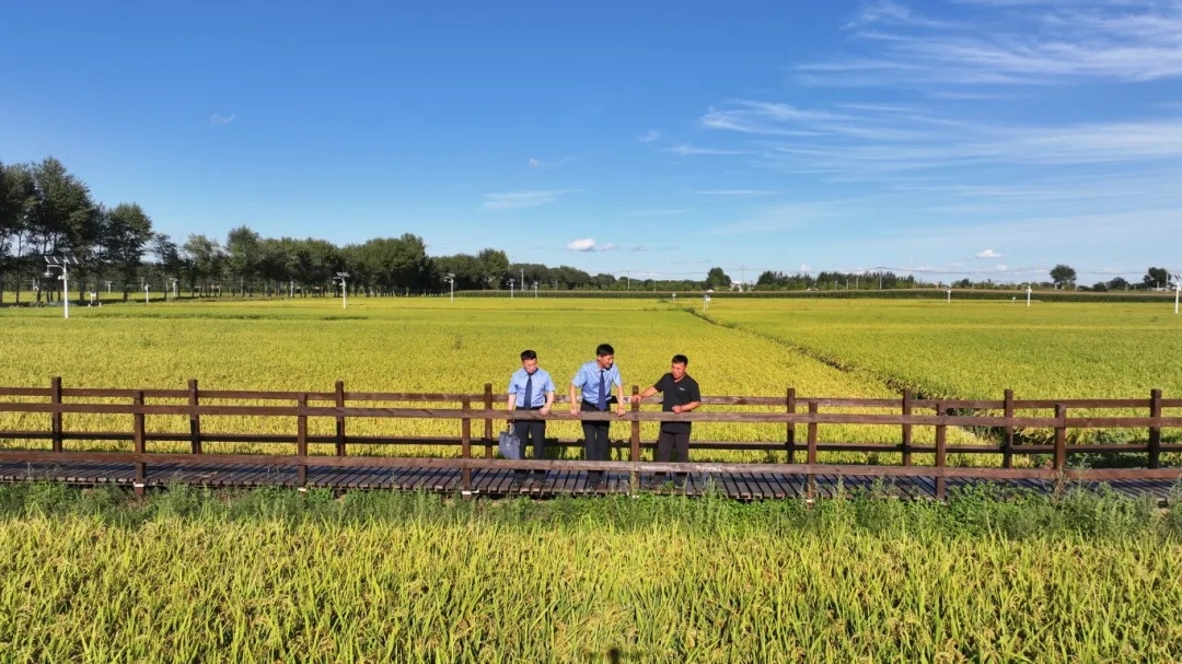 DJI_20250824161450_0033_D.JPG DJI_20250824161450_0033_D.JPG