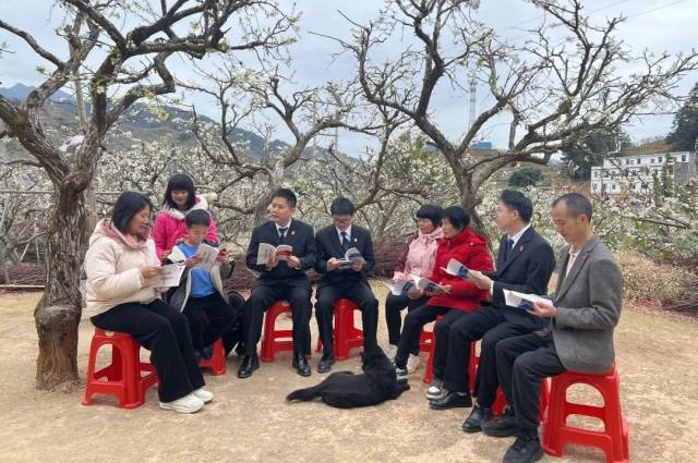 正是李花盛開時，法治春風護農耕