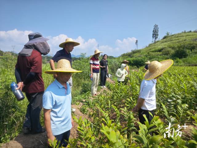 調解小組趕赴現場實地勘察。麥毅攝