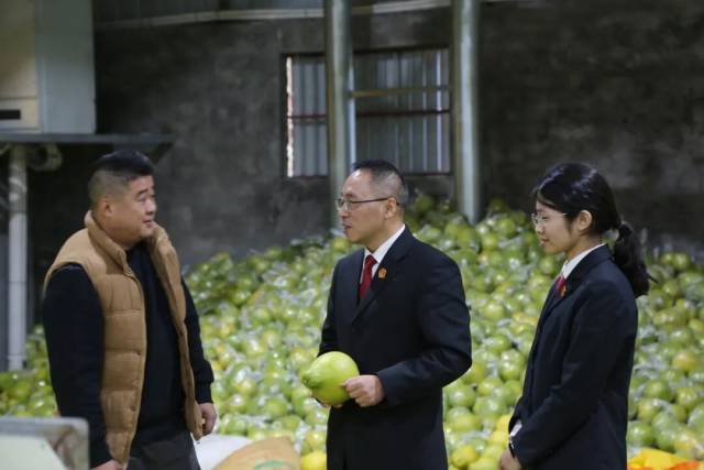 梅縣法院松口法庭走訪柚企