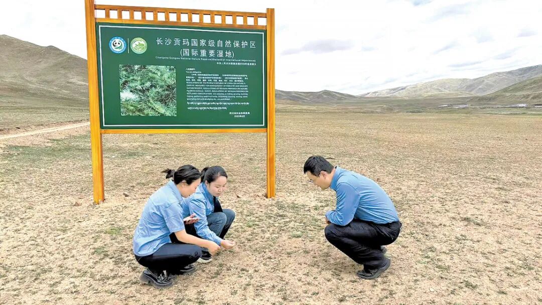 已處理.jpg