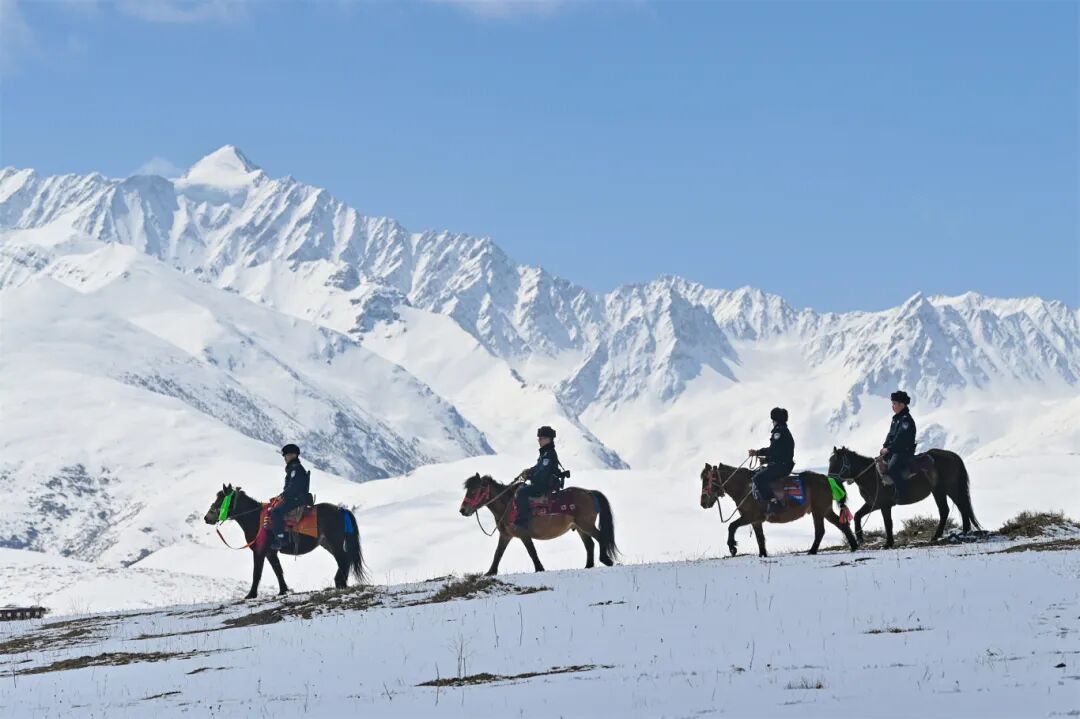 劉鵬帶隊組成的馬背巡邏隊在轄區(qū)巡邏.JPG